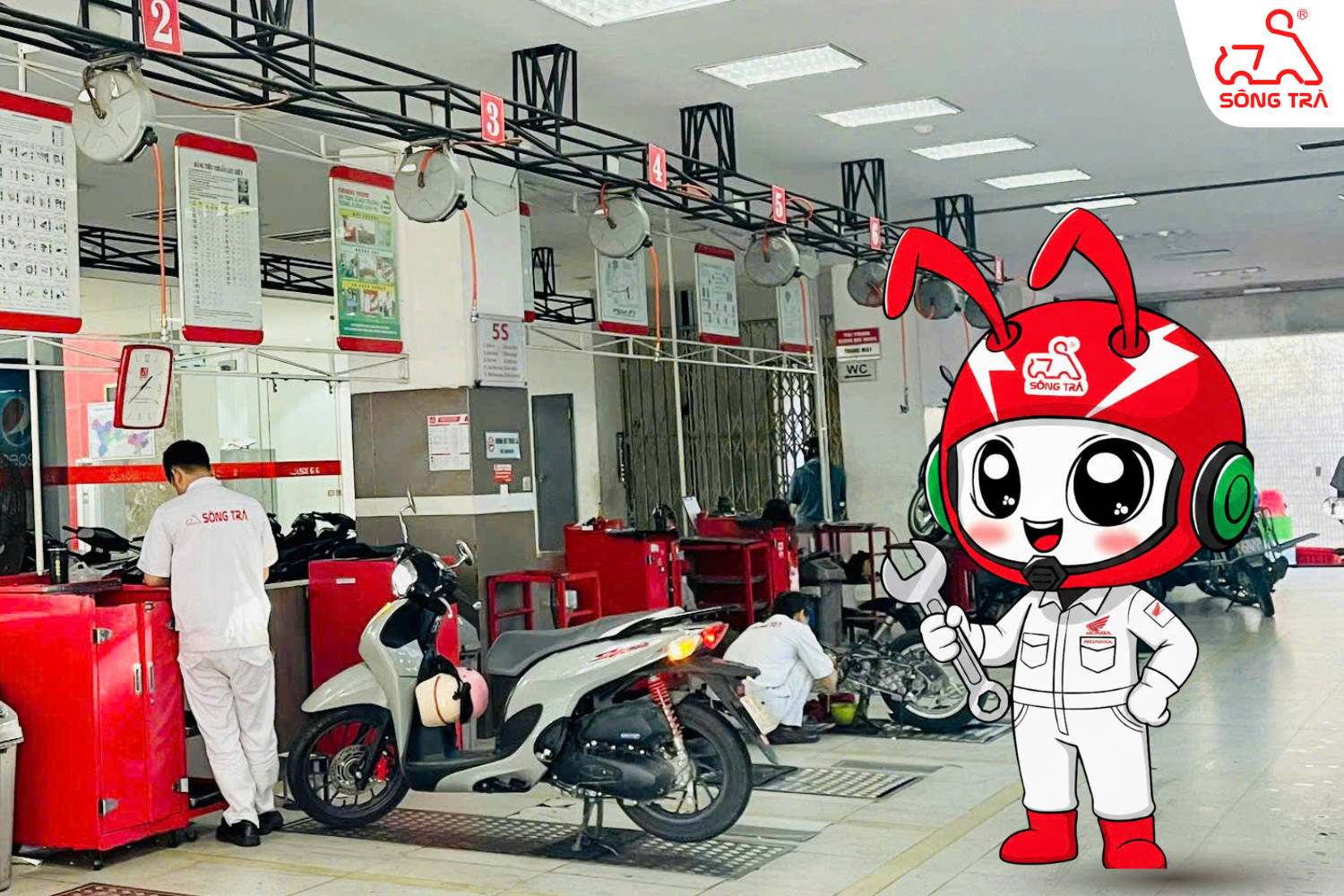 tư vấn dịch vụ