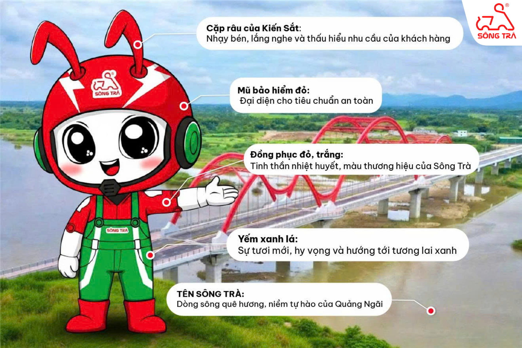 Kiến Sắt SÔNG TRÀ